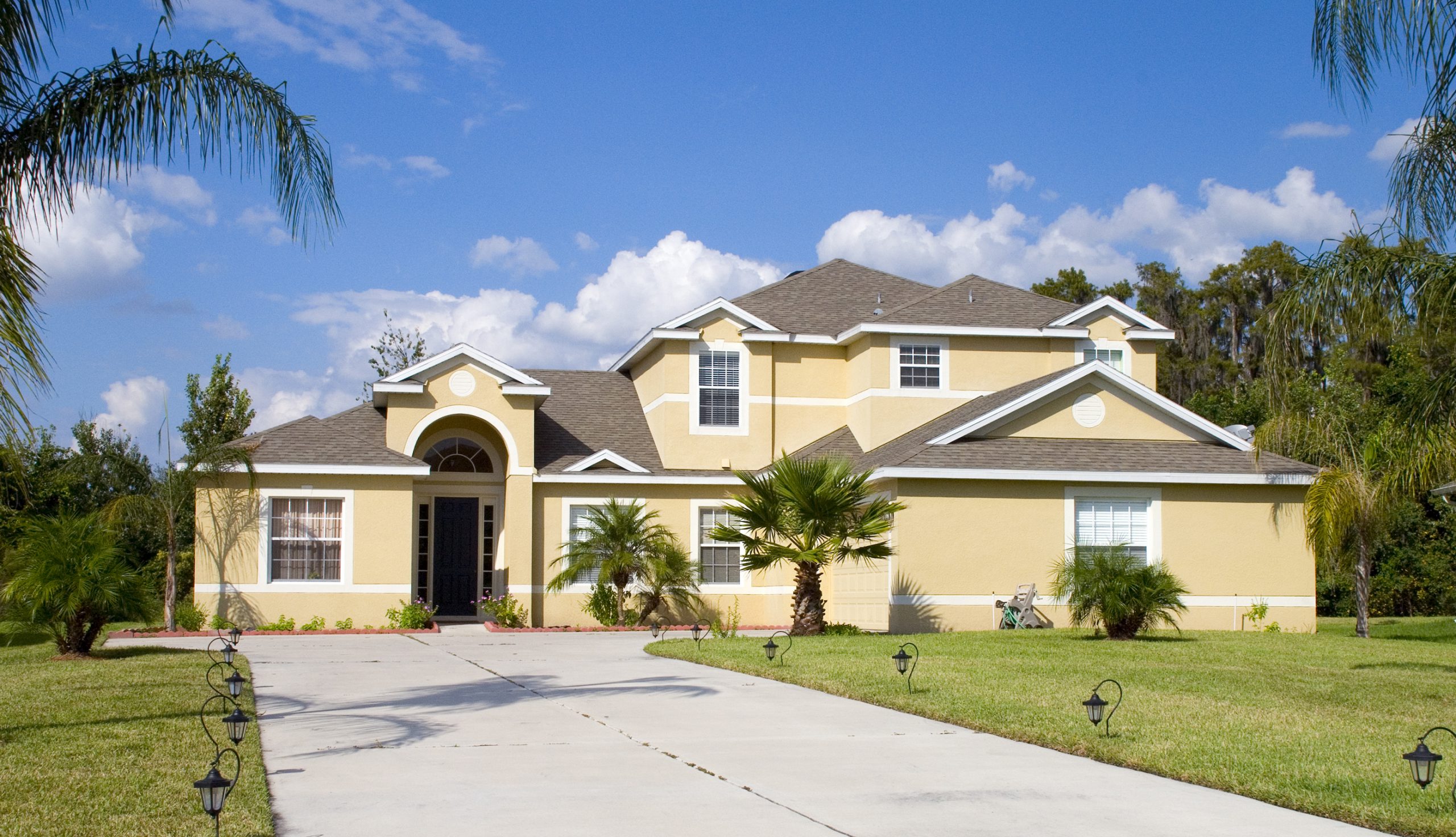 Florida residential property with palm trees
