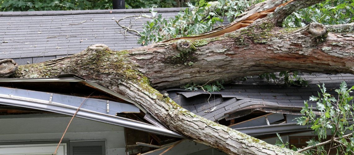 Large fallen tree across the roof of a house after a storm