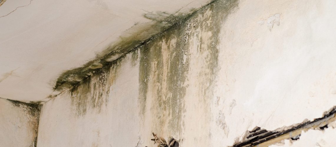 Ceiling showing water damage and mould after a roof leak